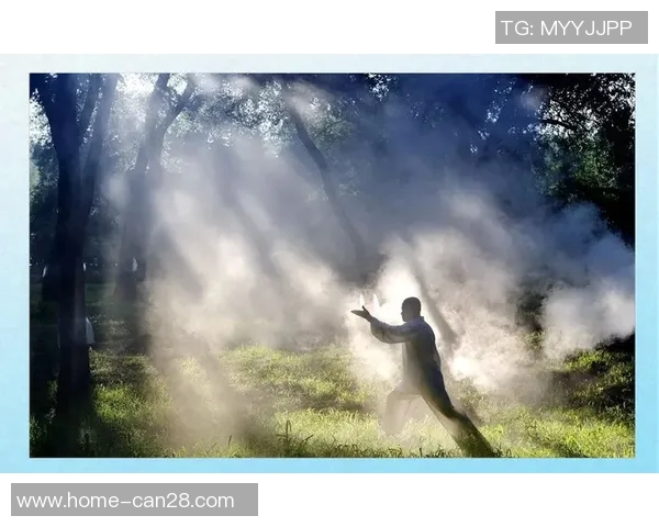 传承与创新的碰撞传统武术与现代搏击的对决与思考